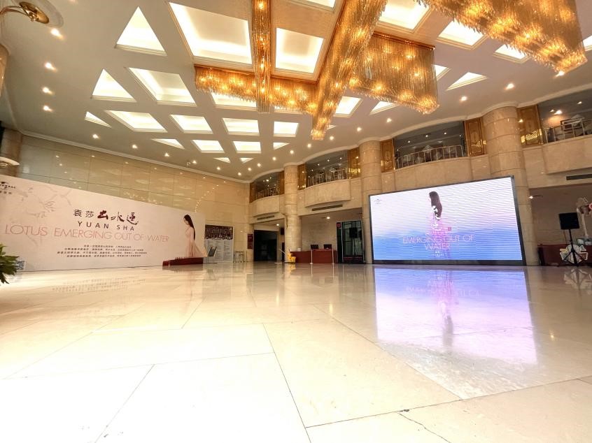 古筝演奏家袁莎的作品,古筝名家袁莎演奏的歌曲大全