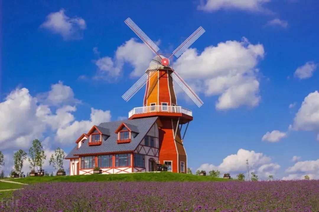 哈尔滨玩的地方推荐道里,梦幻漠河哈尔滨深度游