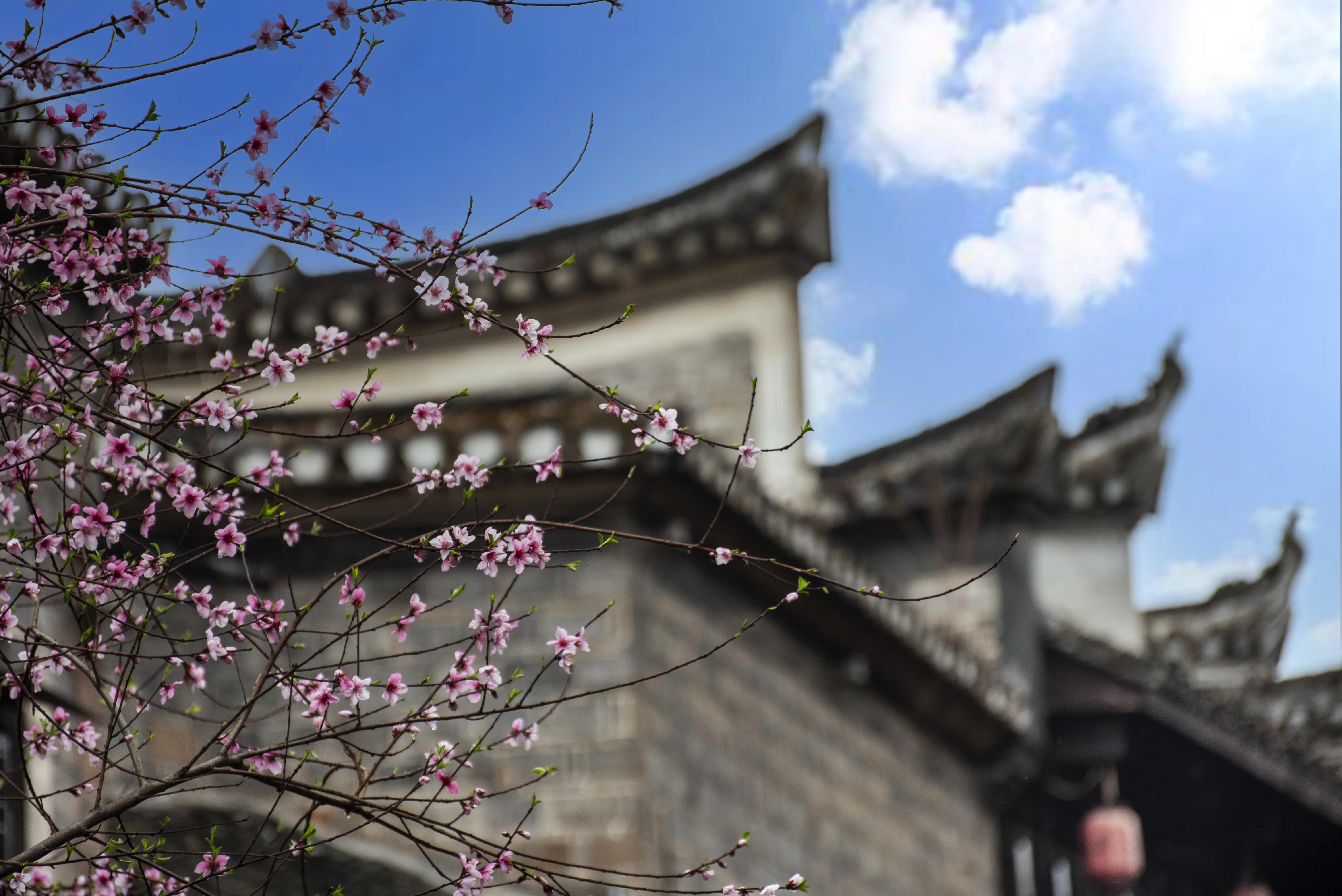 边城凤凰古城,边城凤凰古城好玩吗