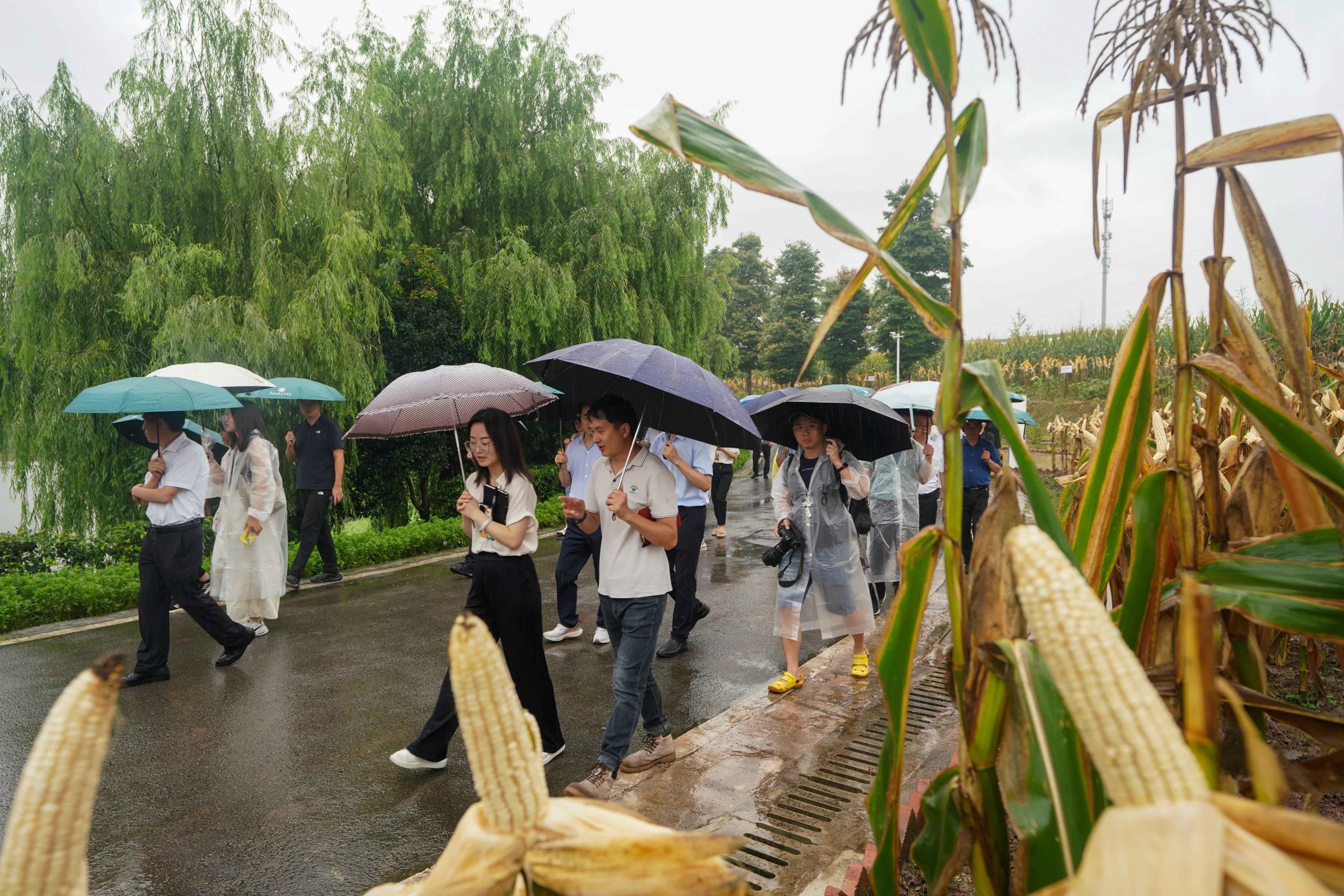 走进重庆现代农业高科技园区科技创新让农业“高大上”