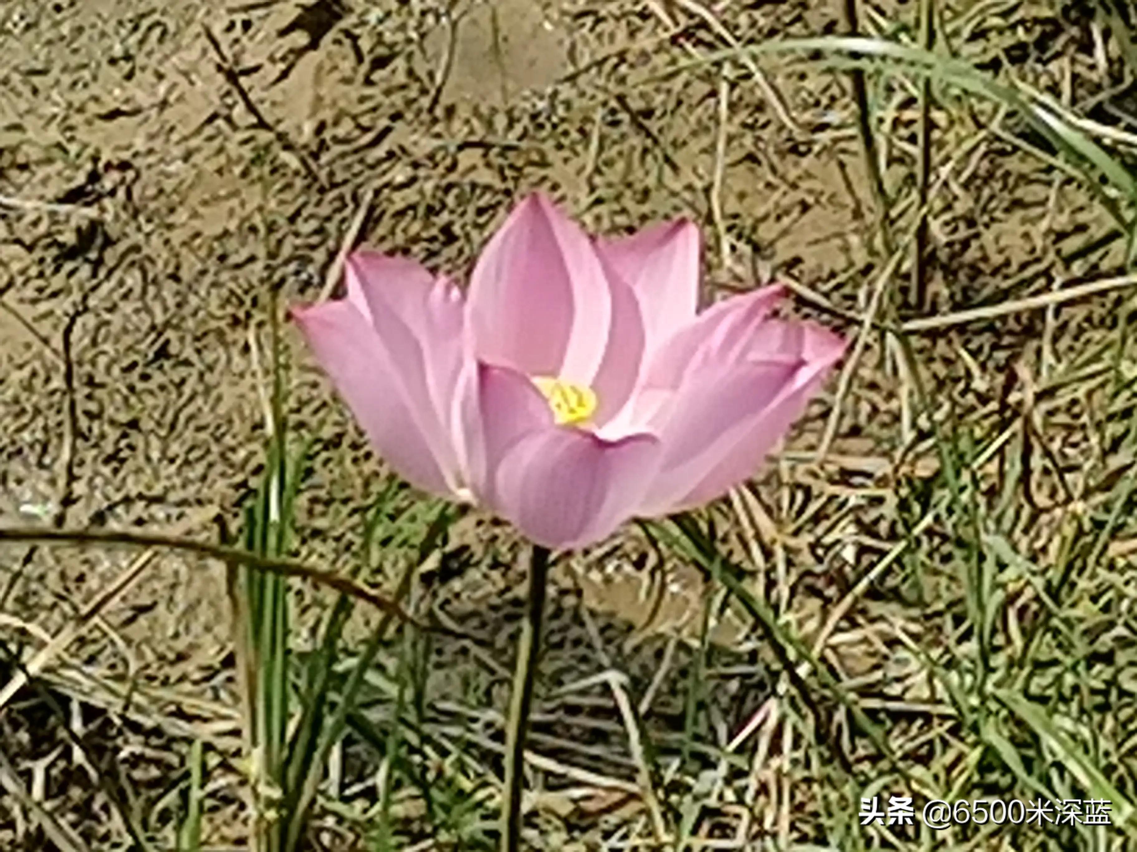 深蓝怎么写,深蓝书写