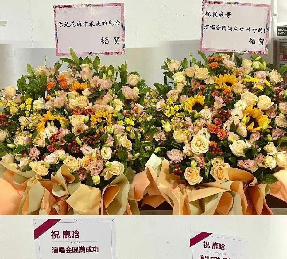 鹿晗巅峰期给足了关晓彤安全感,鹿晗炸裂视频