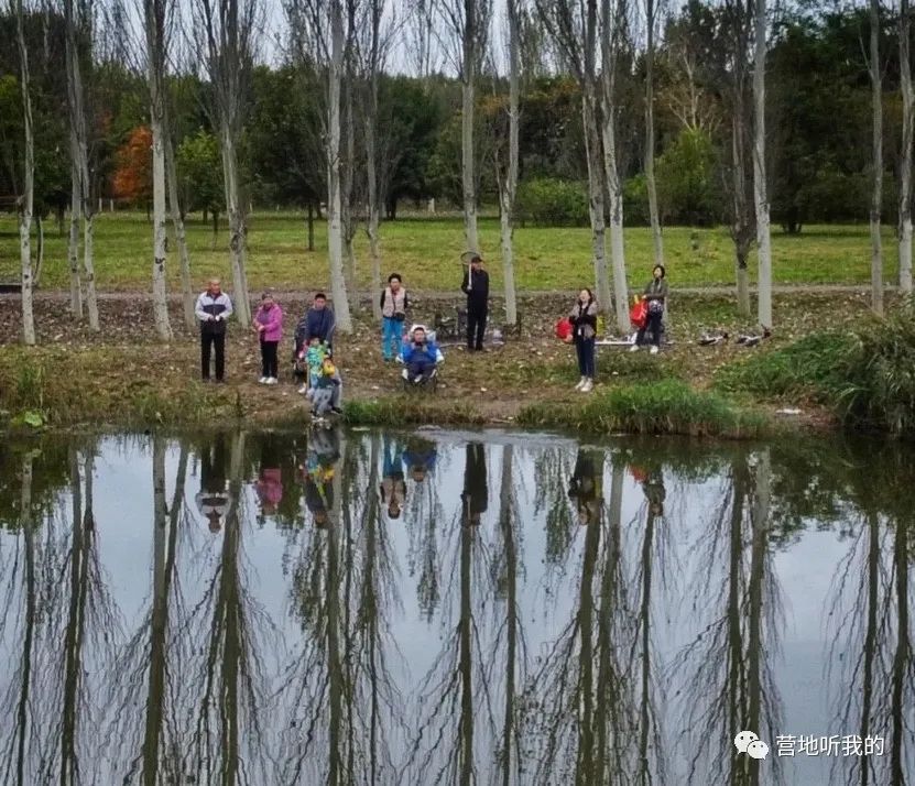 捞小河里的小蝌蚪,上海抓小蝌蚪的公园
