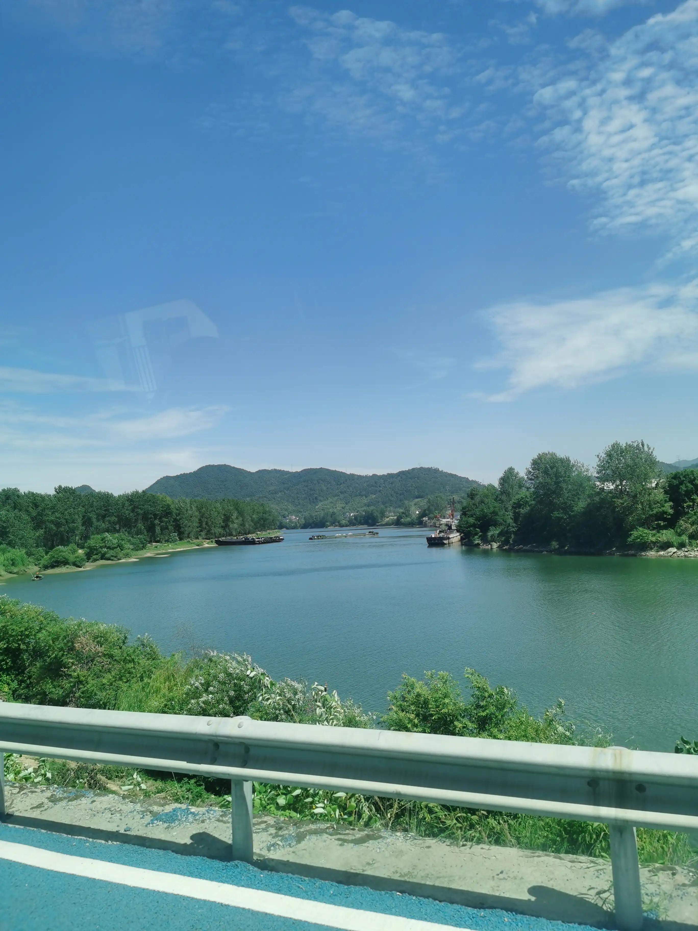 飞吧！飞吧！请捎个信儿给茶花吧！（春红小店之六。练习写作）