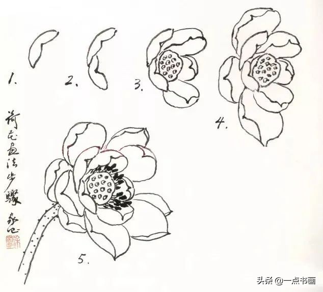 鍥界敾鑽疯姳鐢绘硶瑙嗛,娉煎ⅷ鑽疯姳鐢绘硶瑙嗛