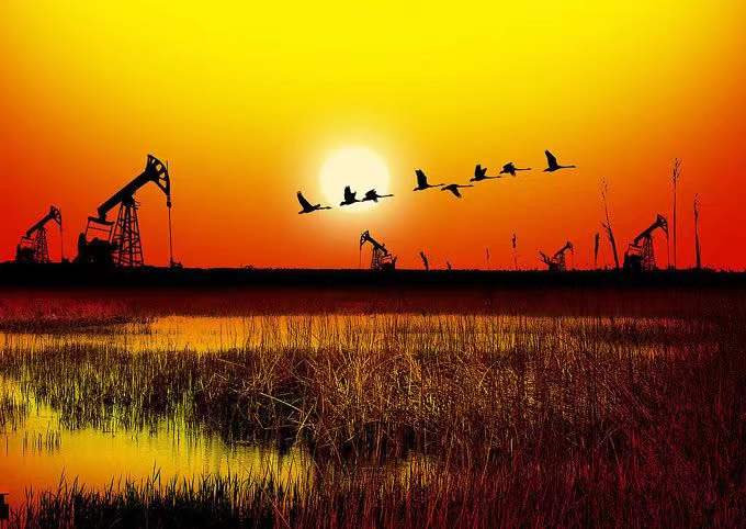 居然有的省、市、县、乡、村五级地名用到同一个字