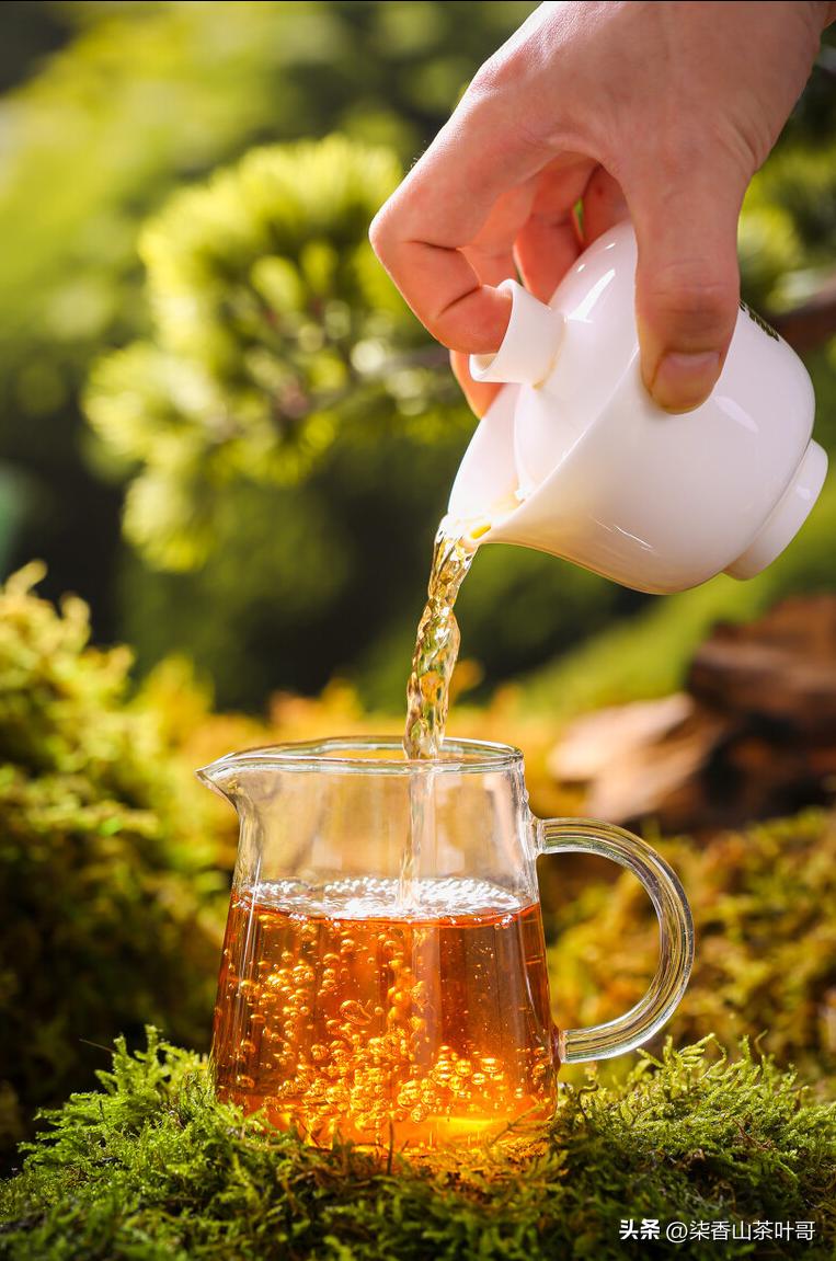 喝茶是一个享受愉悦的过程，选好茶喝好茶。