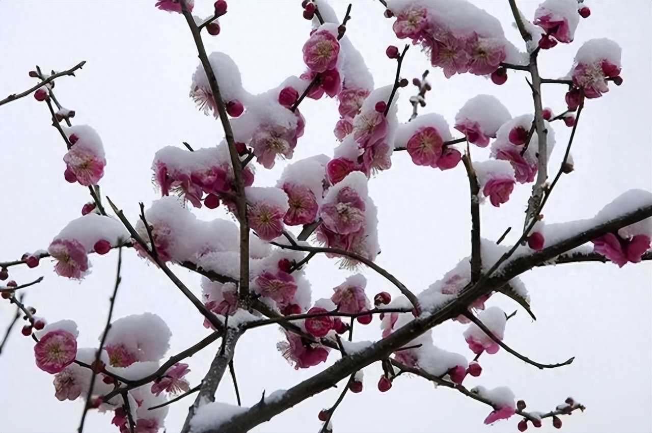 公公耐不住寂寞，儿媳妇知道后主动帮忙，最后被抓！