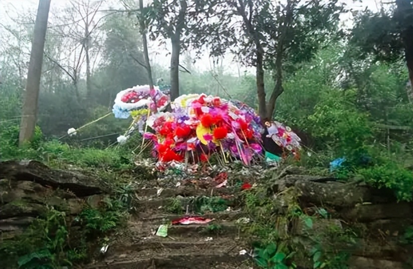 男子清明祭祖发现车辆显示有人,男子清明祭祖发现祖坟墓园被毁