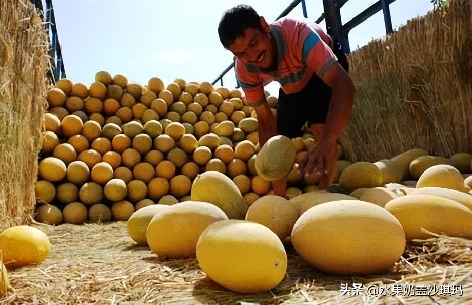 中国各地有名的特产是什么,中国各省市的著名特产