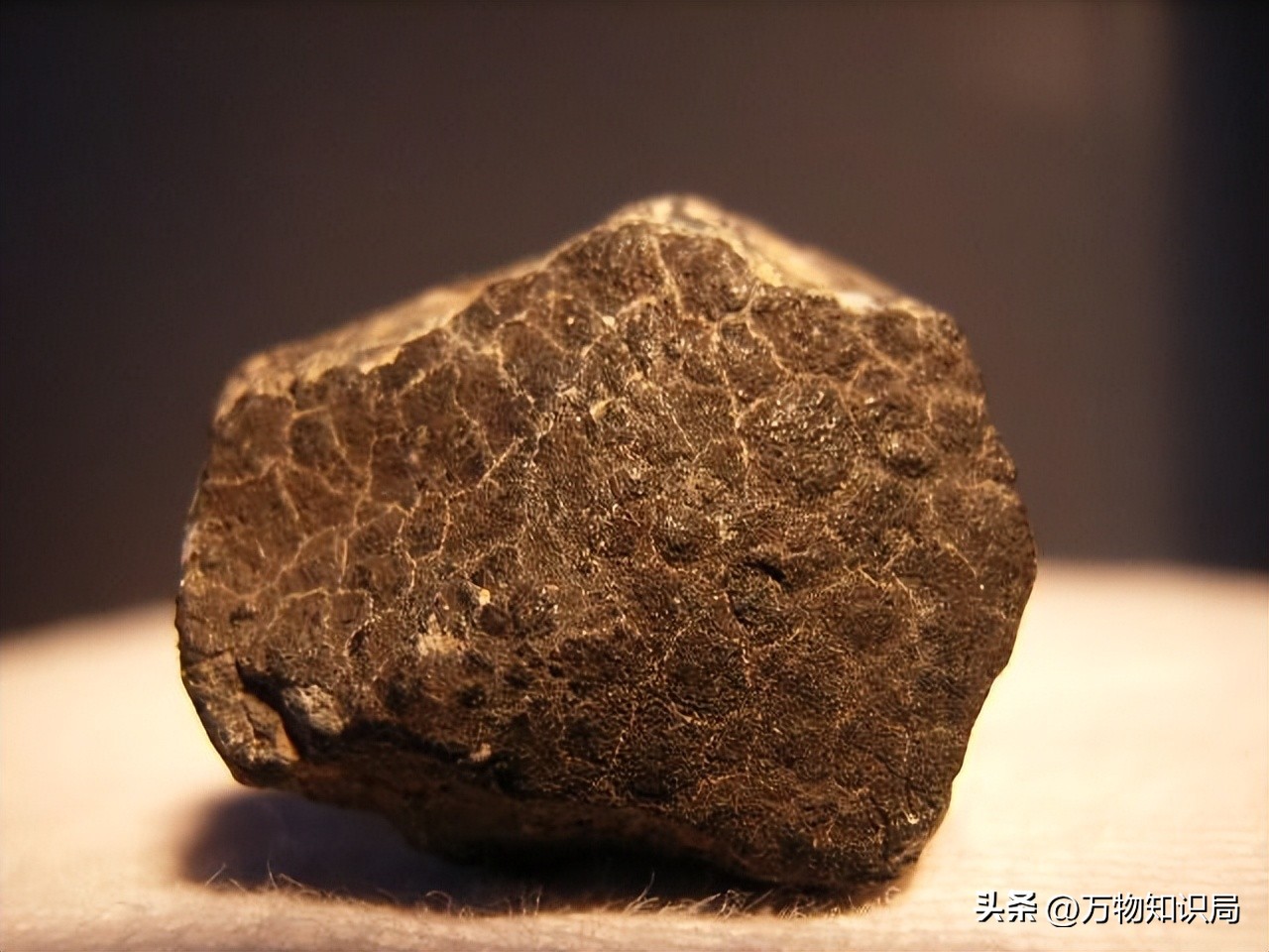 男子不听专家劝阻,花低价买下一个“大坑”,结果全家成亿万富翁