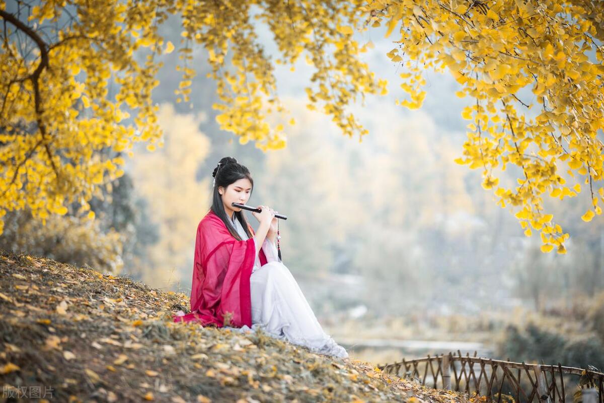 五本公认的穿越小说巅峰神作推荐,推荐几部经典轻松的穿越小说