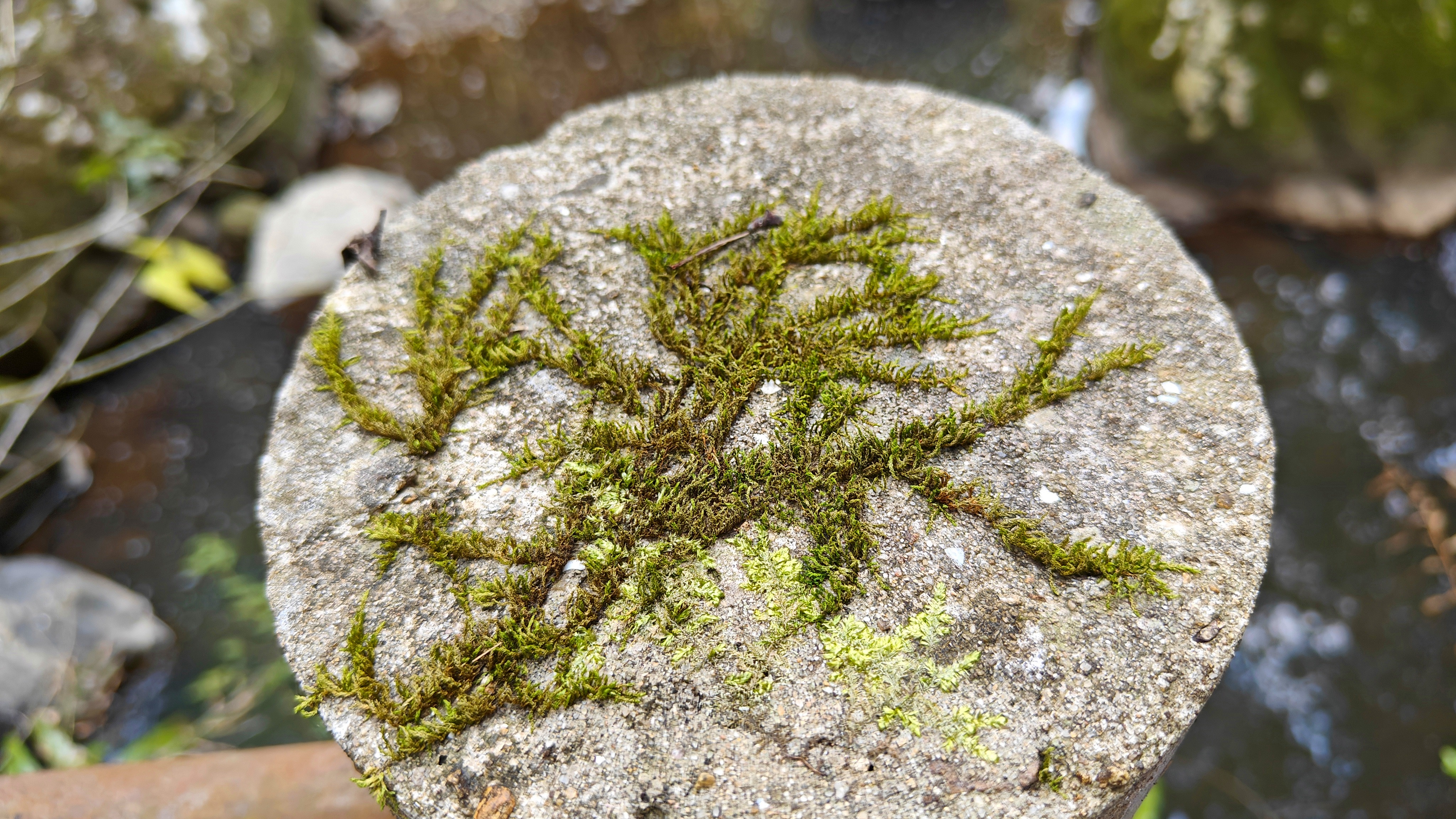 徒步三叠井森林公园，拥抱采兰溪，走进大自然
