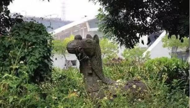 洛阳铲发现殷墟,洛阳市考古发现