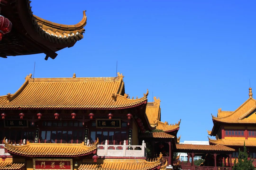 二严寺万佛阁银杏黄啦~古刹银杏，来领取奉贤最禅意的浪漫