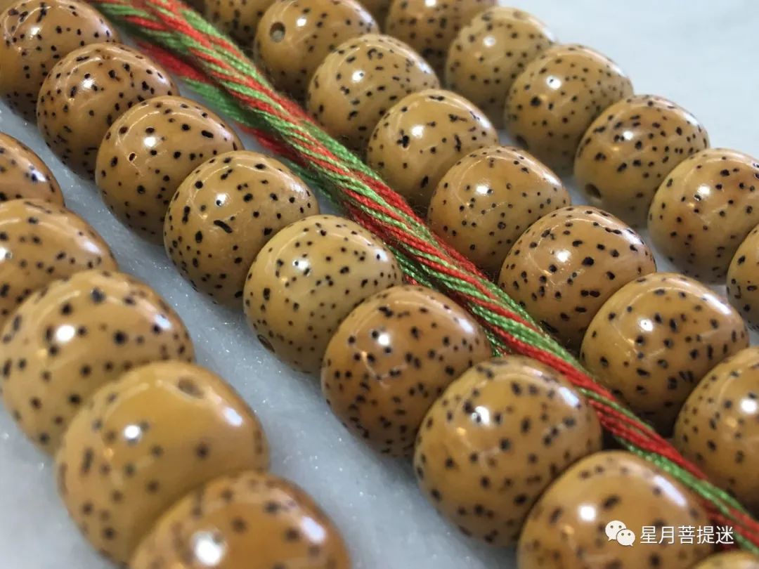 星月菩提盘起来发红,星月菩提快速盘红