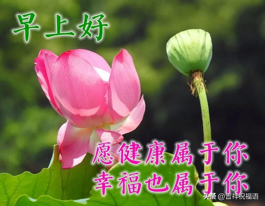 早上好温馨问候最漂亮表情包,每天换图片的早上好问候表情包