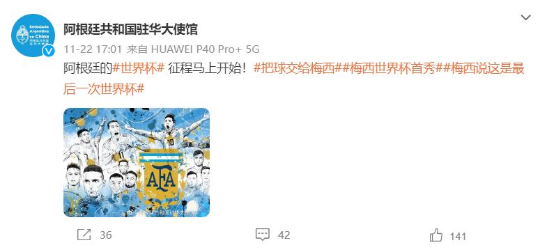 世界杯决赛阿根廷vs法国中国球迷,世界杯美洲区预选赛阿根廷巴西