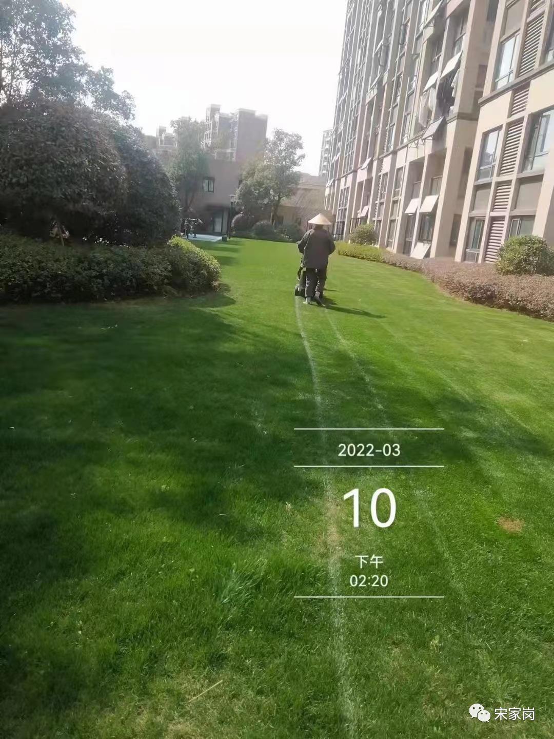 武汉盘龙城种草专业户—新力帝泊湾小区,小区品质离不开细节处理