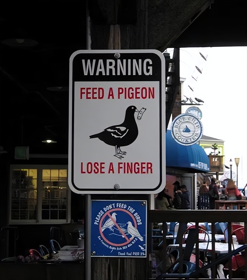 怪兽出没请避让,怪兽出没小心避让