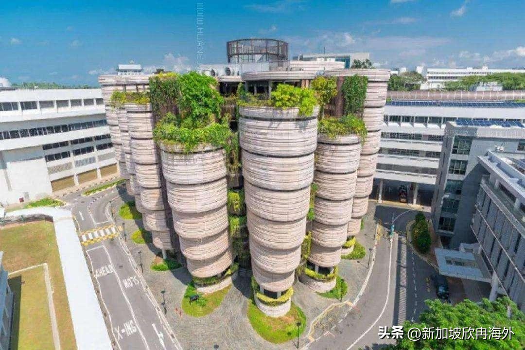 新加坡留学后就业发展,新加坡就业前景排名