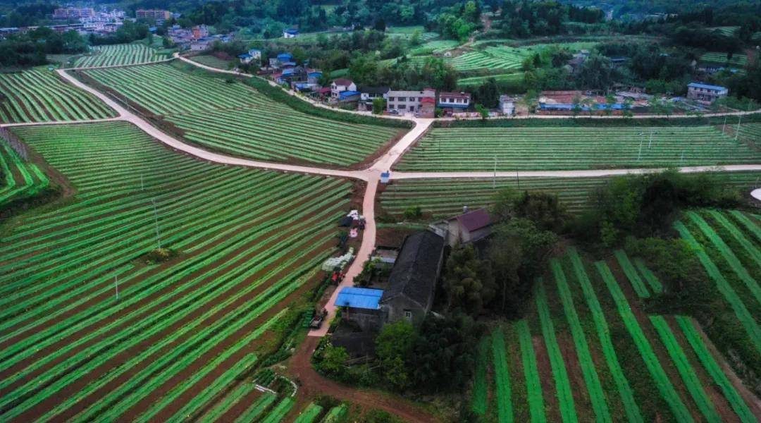 浣曞繀鍘昏繙鏂圭編鏅浘,浣曞繀鍘昏繙鏂圭編鏅湪韬梺