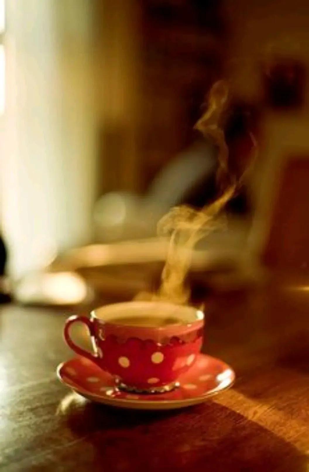 冬天的风像什么啊,冬天的风夹着雪花