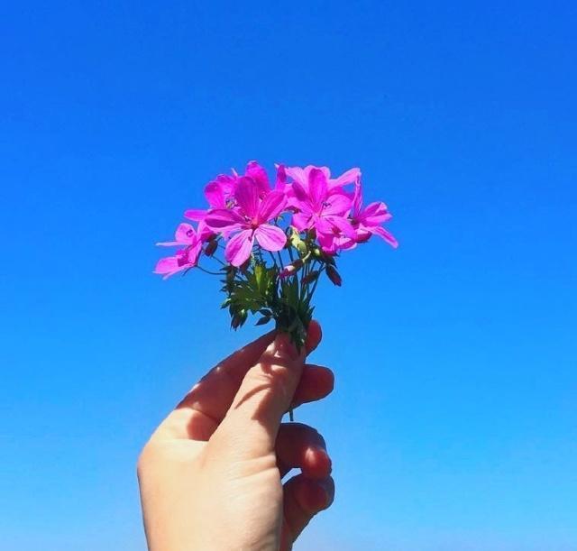 2023微信签名简短干净,2022的霸气气质正能量个性签名