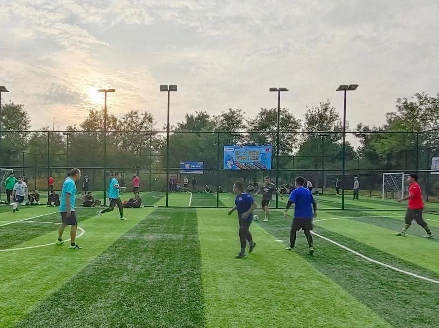 挥洒汗水足球,挥洒汗水追梦绿茵