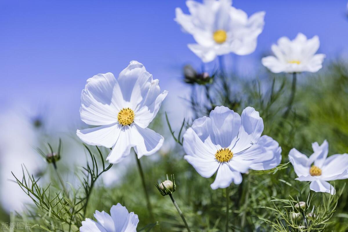 别人问你工资多少高情商回复,问你工资多少高情商回答