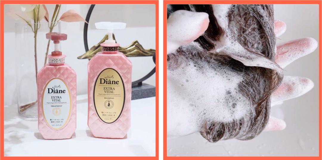 2021年度挚爱好物|全是宝藏、实用不贵、绿色无广