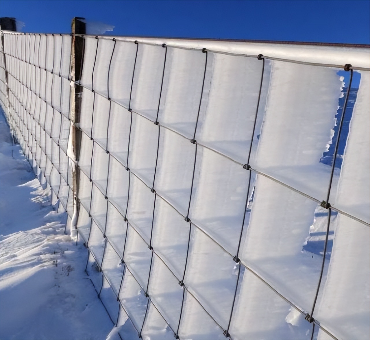 美丽的大自然的作文,美丽的大自然现代诗