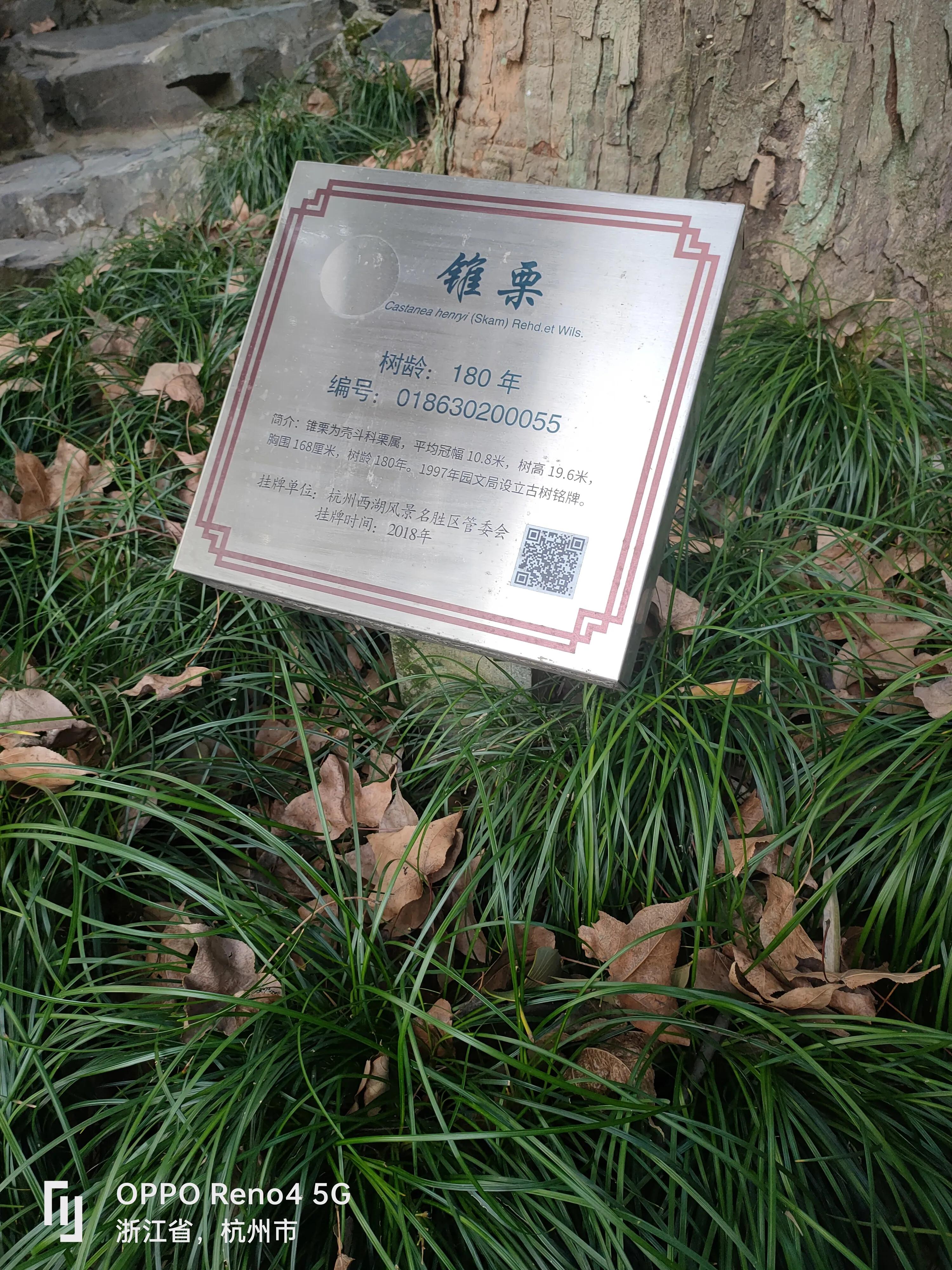 风雨过后便是彩虹的文案,风雨过后便是彩虹的诗