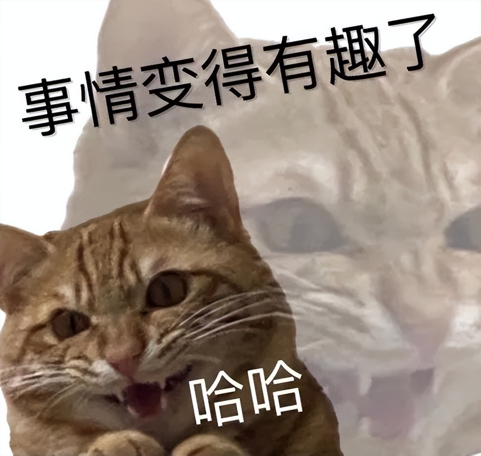 脱口秀挨揍的是谁,玩好脱口秀