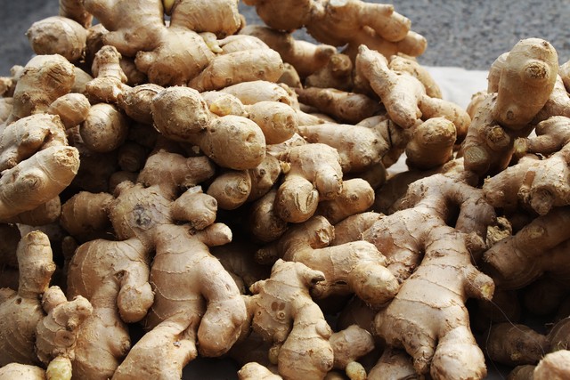 大姜出苗期管理要点,大姜高产全程指导方案