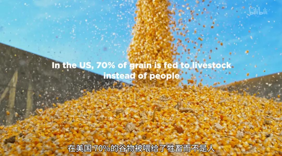 最后一部良心之作,一部真正良心之作全程毫无尿点