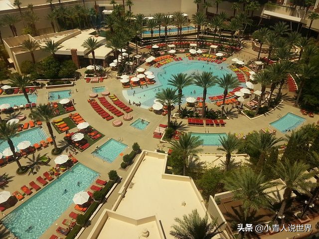 拉斯维加斯为什么是结婚之城,拉斯维加斯是一个怎样的地方