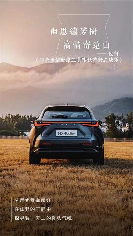 有光的眼睛自己都觉得好看,好看的眼睛发光效果