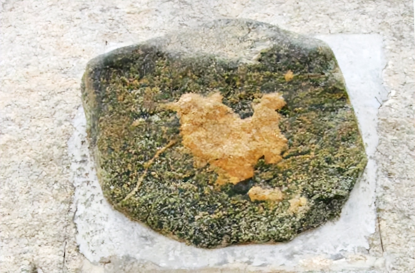 冬日里的华山银装素裹,冬日登上秦岭山脊