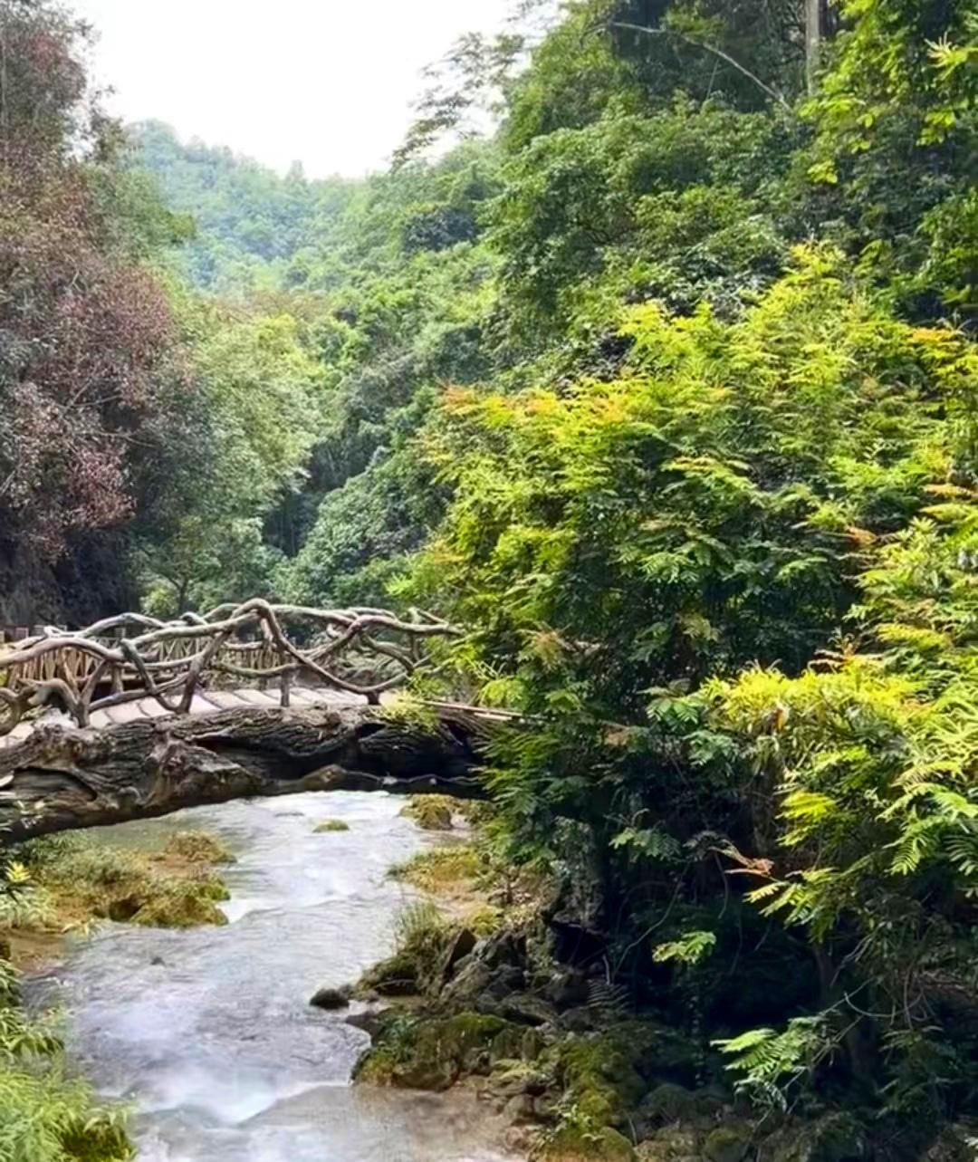 藏在大山里的一个旅游好去处,藏在深山里的小众景区