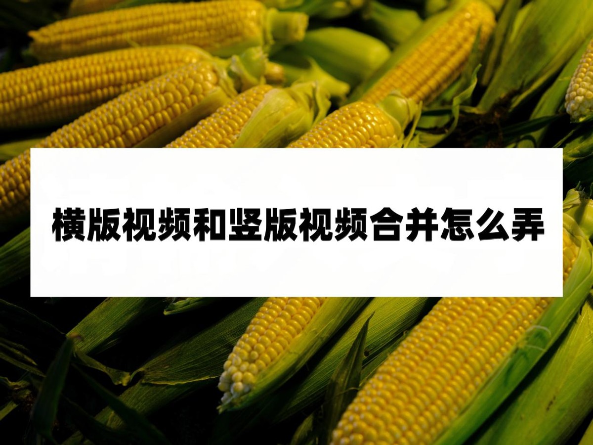 横版视频和竖版视频合并怎么弄？教你几招轻松搞定
