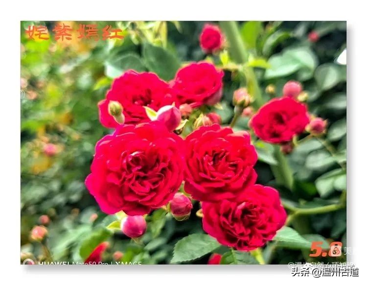 告别春天迎接夏天的诗,告别春天迎接夏天到来