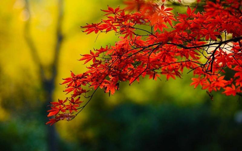 一个人一直不回你消息是怎么回事,女朋友一直不回信息怎么回复