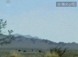 论各类型*器武**的威力