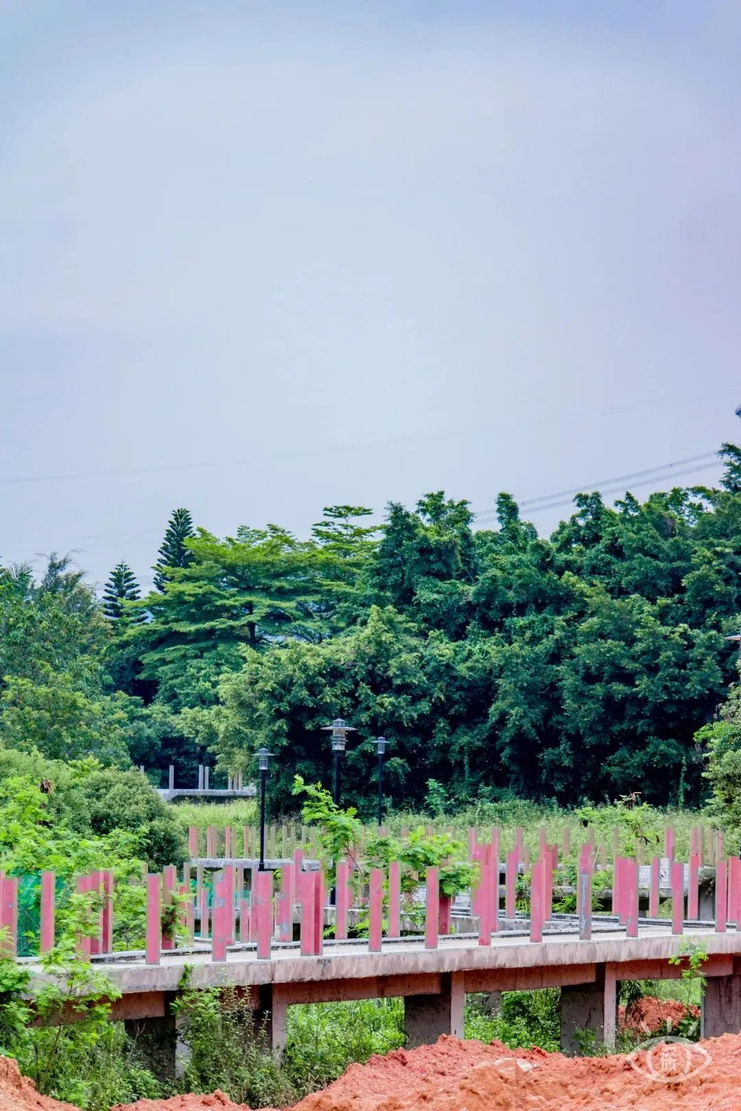 家住深圳必去的公园绿道,深圳环湖绿道好玩么