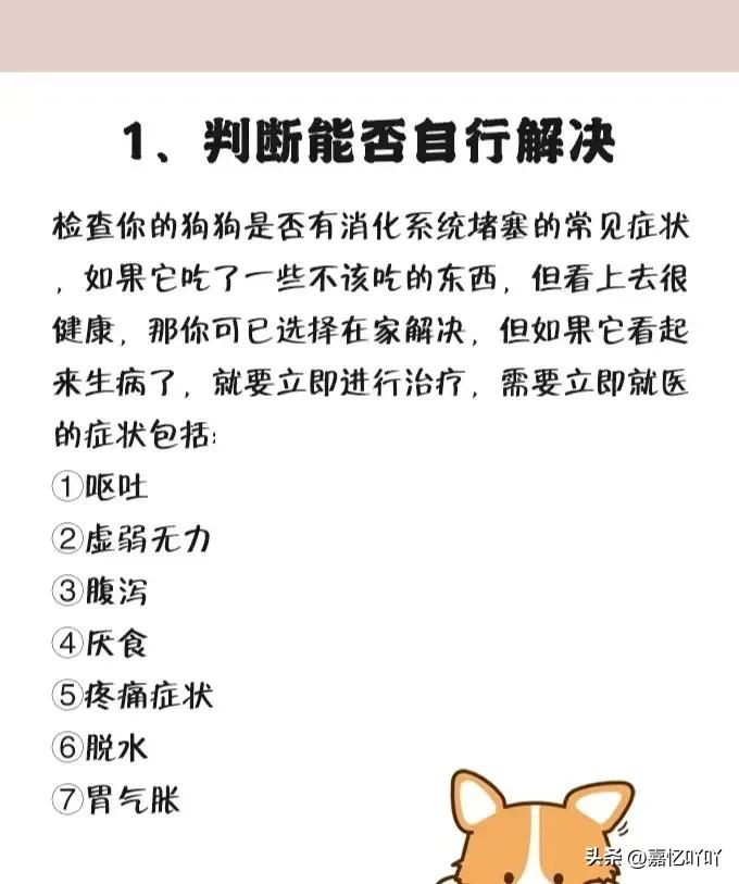 狗狗不小心吞食异物有什么症状,狗狗肠子堵住了怎么排出来异物