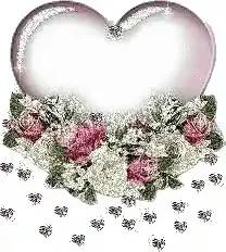 520送你最美的玫瑰花,520把最美的祝福送给幸福的你