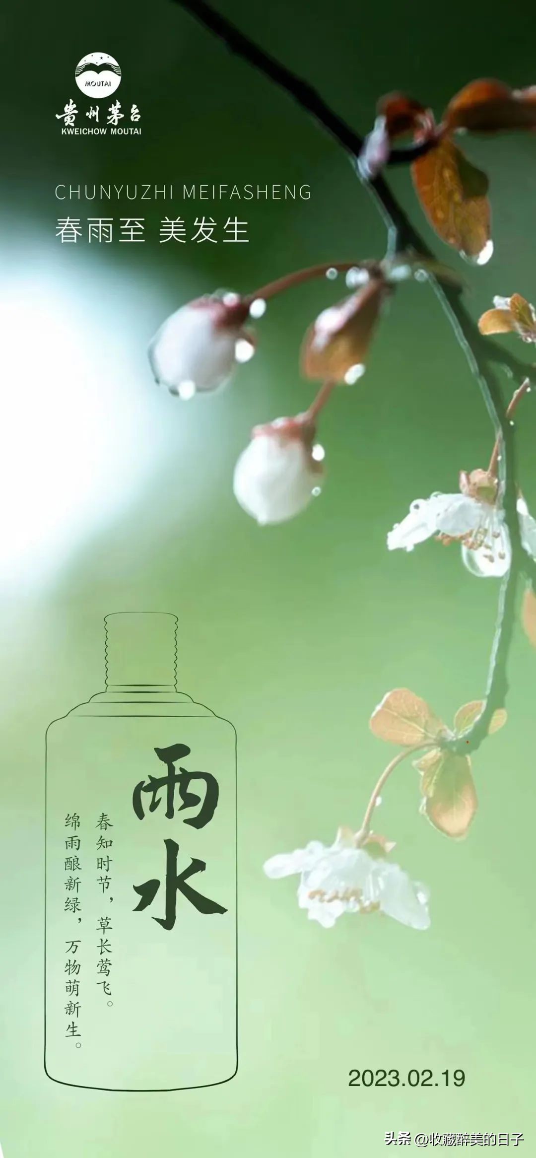 茅台醉美醇香酒活动,醉美茅台