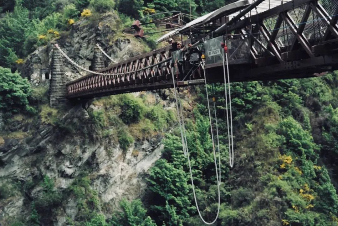 写给不被疫情束缚的心:用文字“云”游新西兰全境