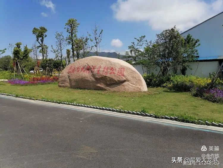 龙港市水心夜景,龙港市水心岛天气